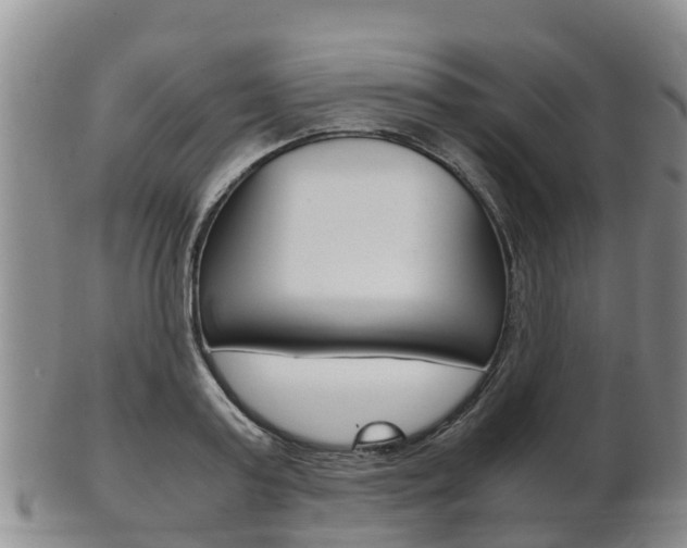 X0000102520795200808081028