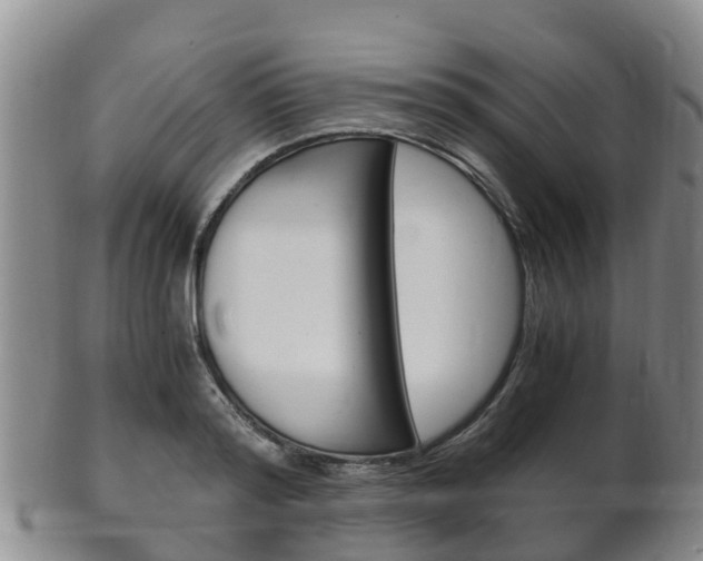 X0000102520796200808081028