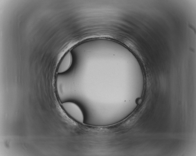 X0000102520797200808081028
