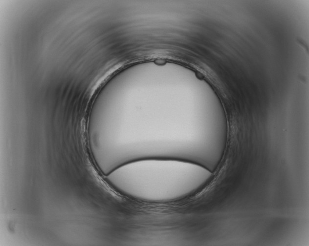 X0000102520798200808081028