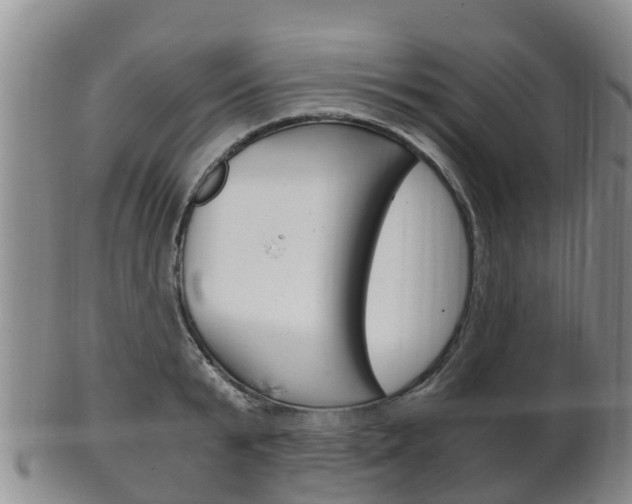 X0000102520799200808081028