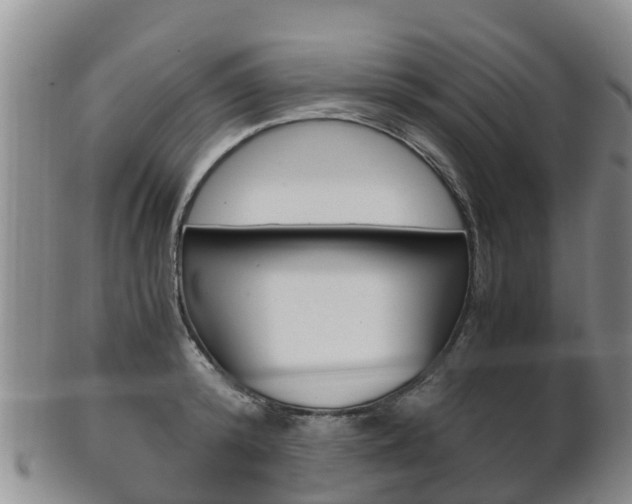 X0000102520800200808081028