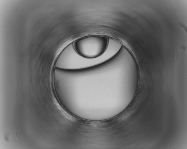 X0000102520803200808081028