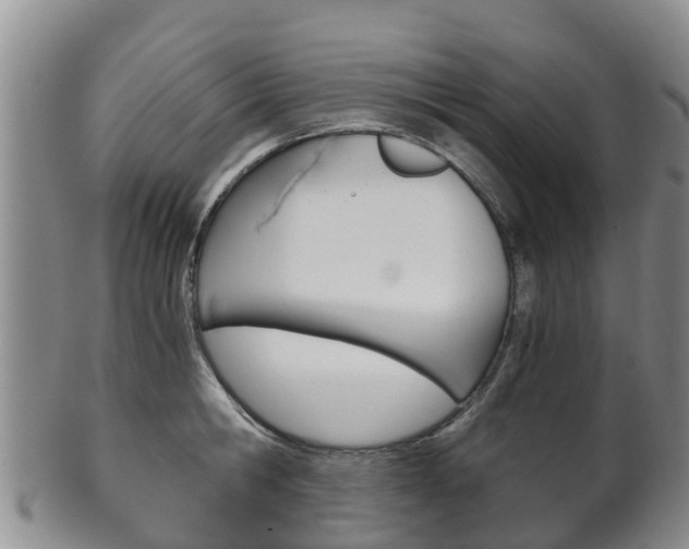 X0000102520806200808081028