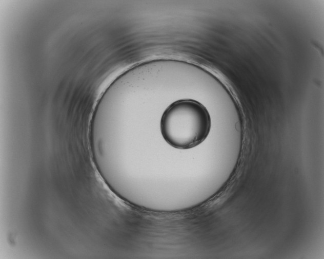 X0000102520807200808081028