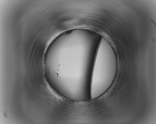 X0000102520808200808081028