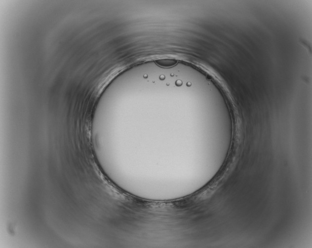 X0000102520809200808081028