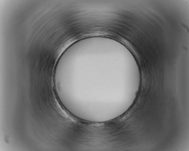 X0000102520810200808081028