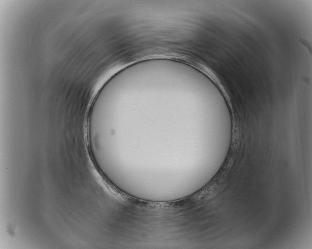 X0000102520811200808081028