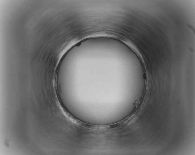 X0000102520813200808081028