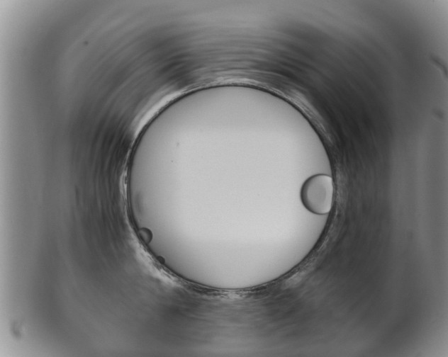 X0000102520814200808081028