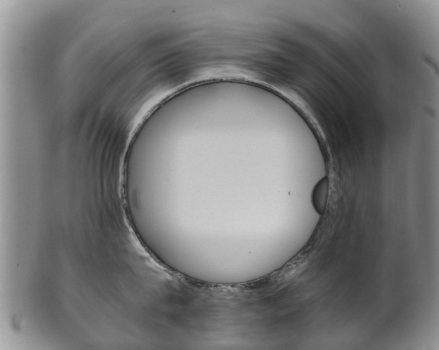 X0000102520815200808081028