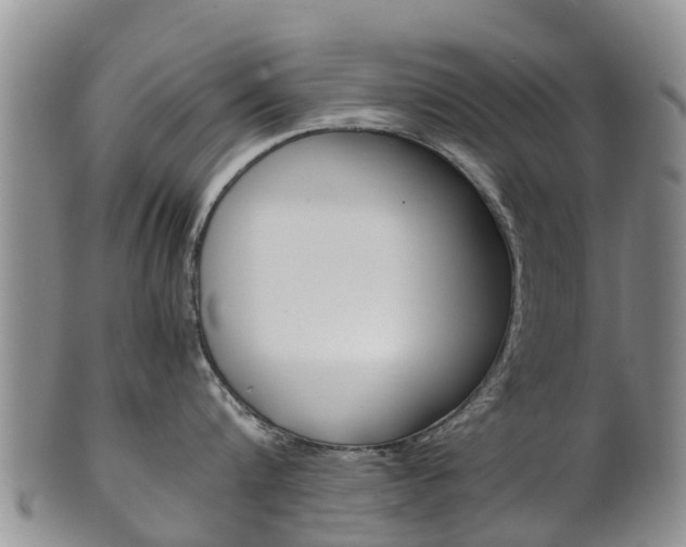 X0000102520816200808081028