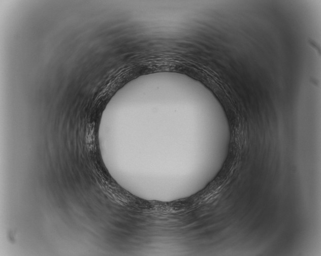 X0000102520818200808081027