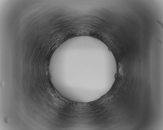 X0000102520819200808081027
