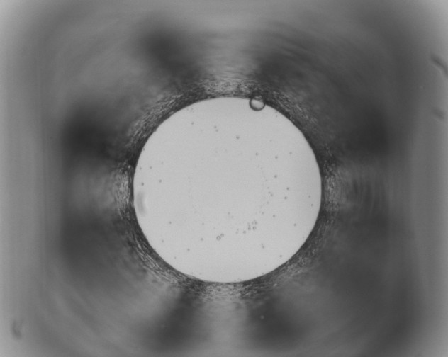 X0000102520820200808081027