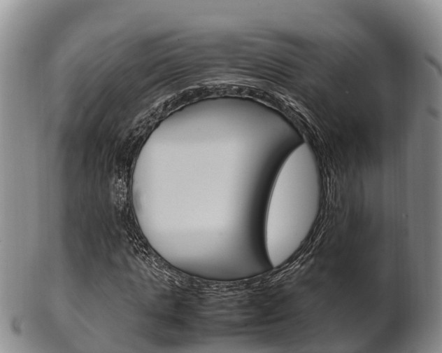 X0000102520821200808081027