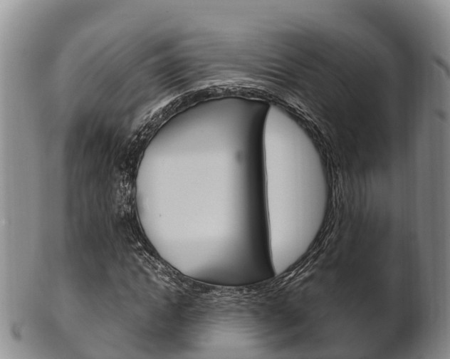 X0000102520822200808081027