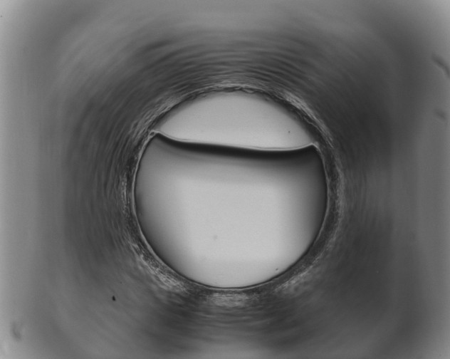 X0000102520825200808081027