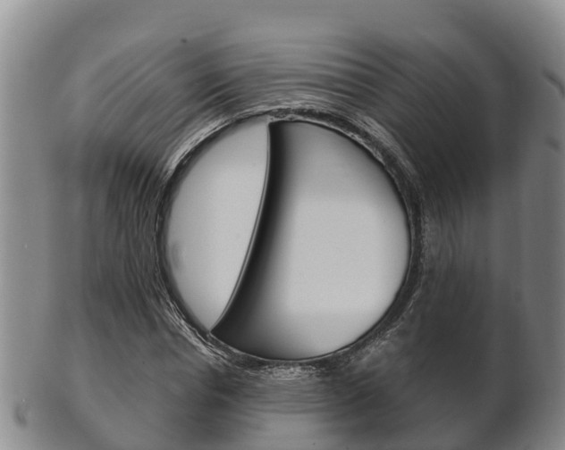 X0000102520826200808081027