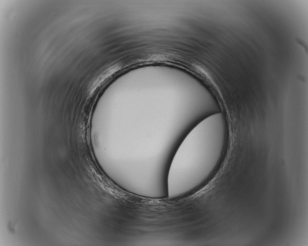 X0000102520827200808081027
