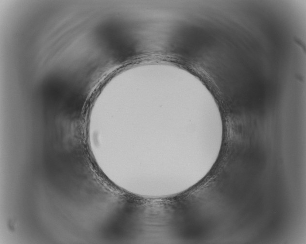 X0000102520828200808081027