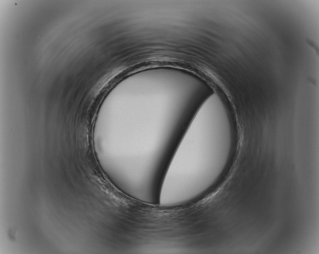 X0000102520829200808081027