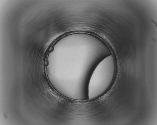 X0000102520830200808081027