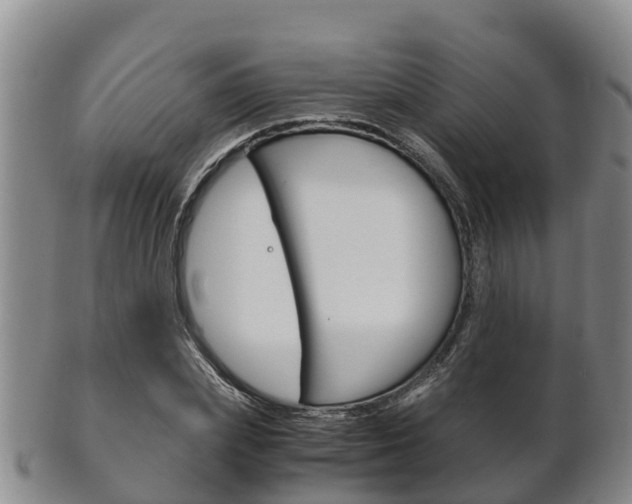 X0000102520831200808081027