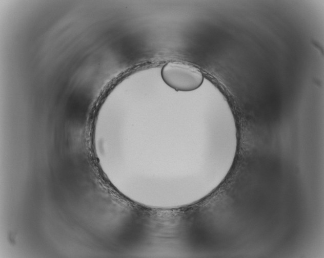 X0000102520832200808081027