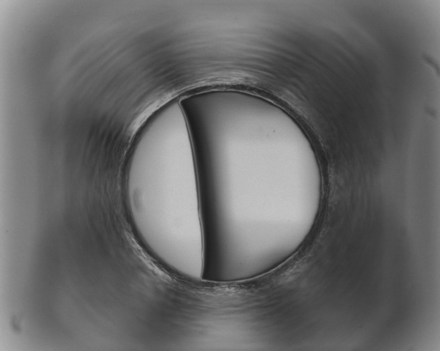 X0000102520834200808081027
