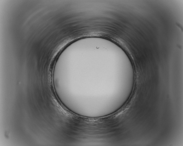 X0000102520835200808081027