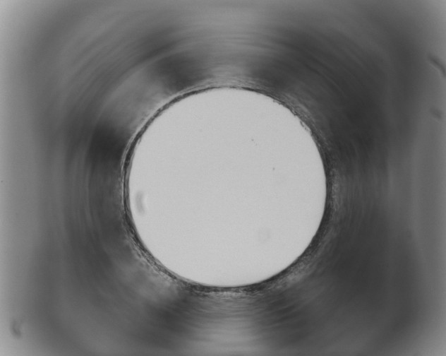 X0000102520836200808081028