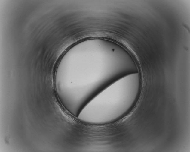 X0000102520837200808081028