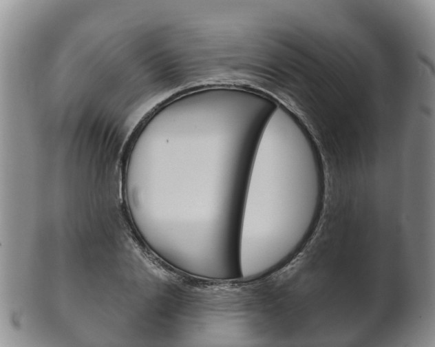 X0000102520838200808081028