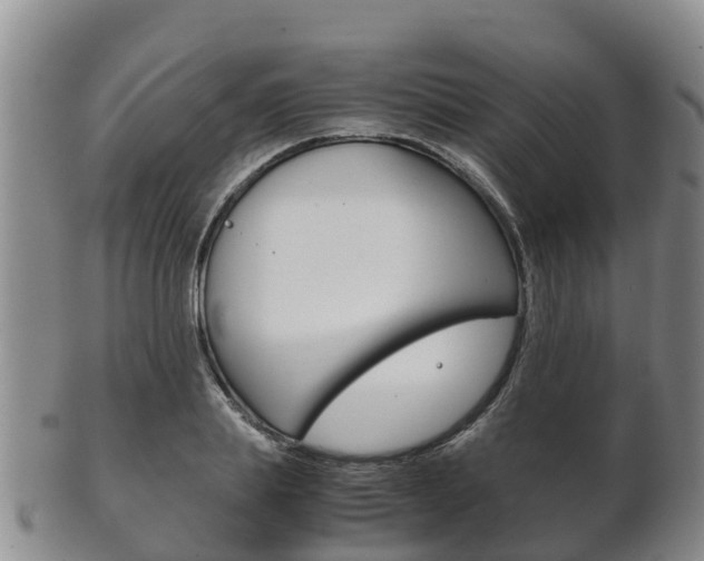 X0000102520839200808081028