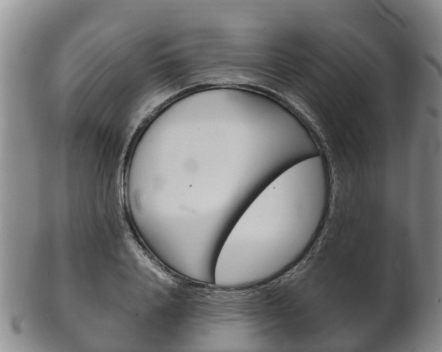 X0000102520840200808081028