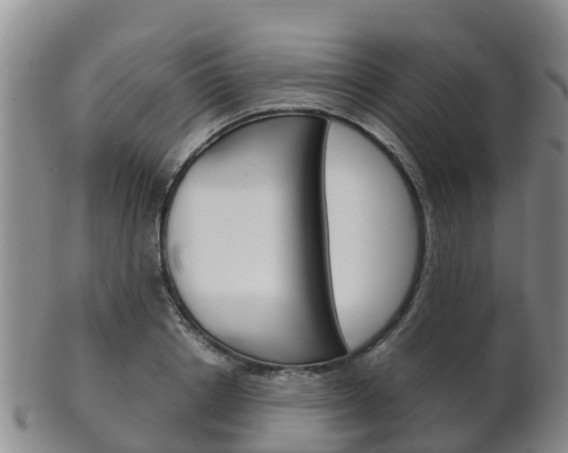 X0000102520842200808081028