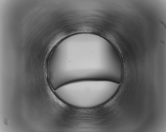 X0000102520843200808081028
