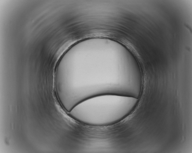 X0000102520844200808081028
