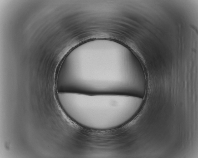 X0000102520845200808081028