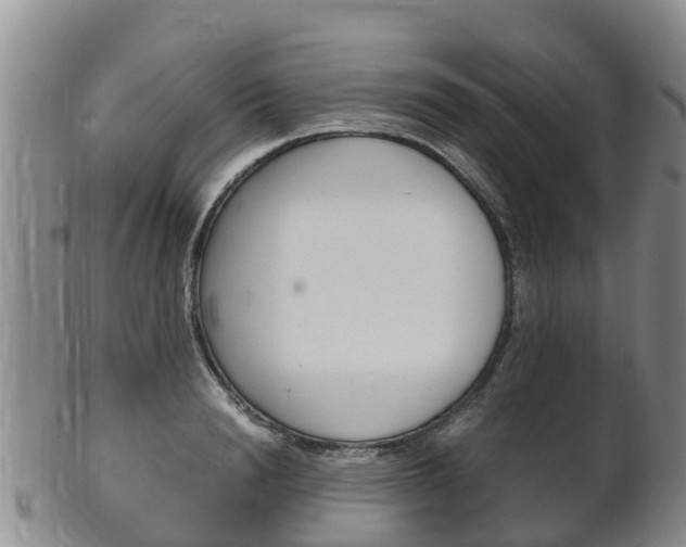 X0000102520846200808081028