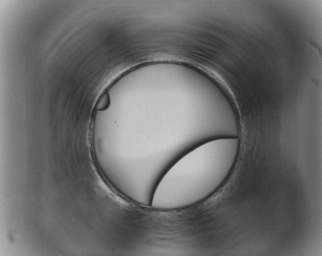 X0000102520847200808081028