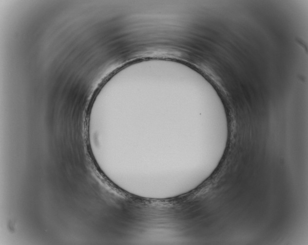 X0000102520848200808081028