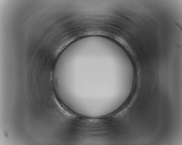 X0000102520849200808081028