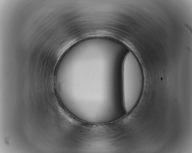 X0000102520850200808081028