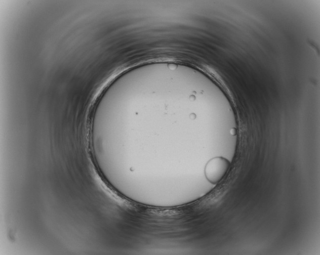 X0000102520851200808081028