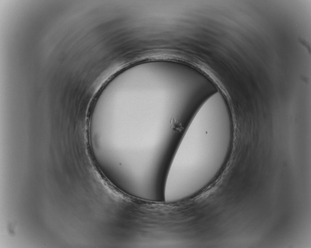 X0000102520853200808081028