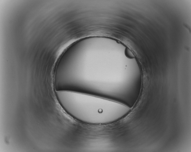 X0000102520854200808081028