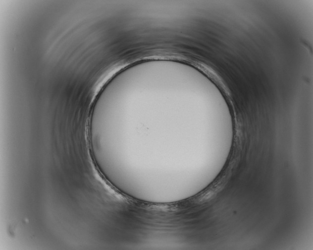 X0000102520855200808081028